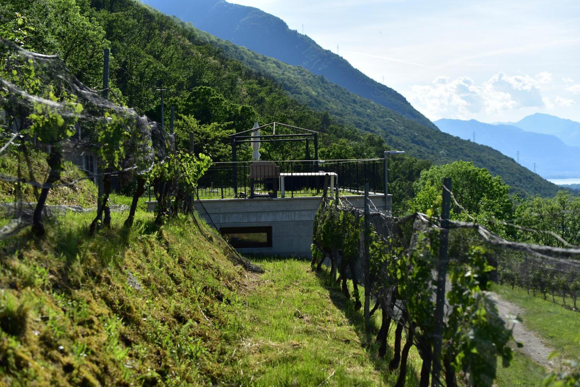 Viva Bacco Bed & Breakfast Gambarogno Exterior photo