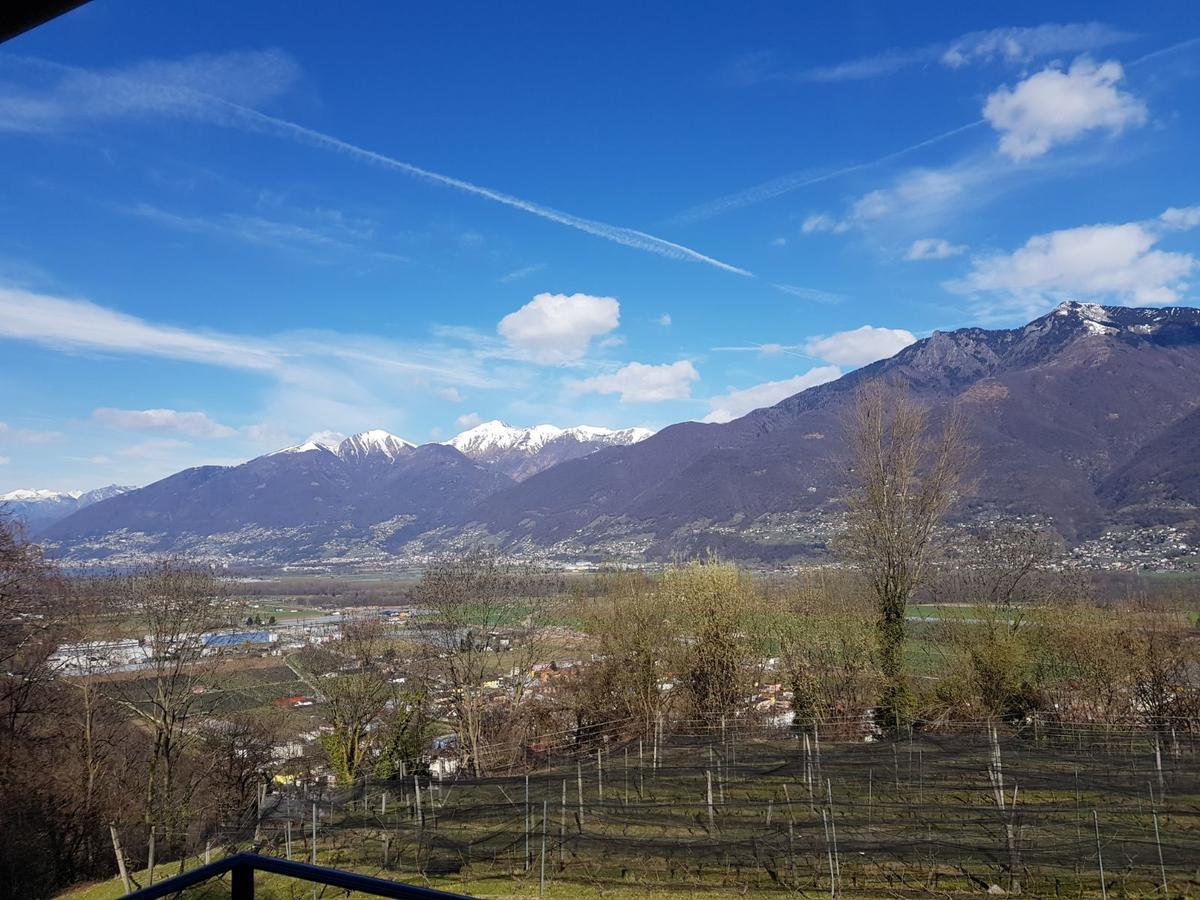 Viva Bacco Bed & Breakfast Gambarogno Exterior photo
